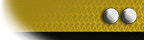 gold Lieutenant uniform